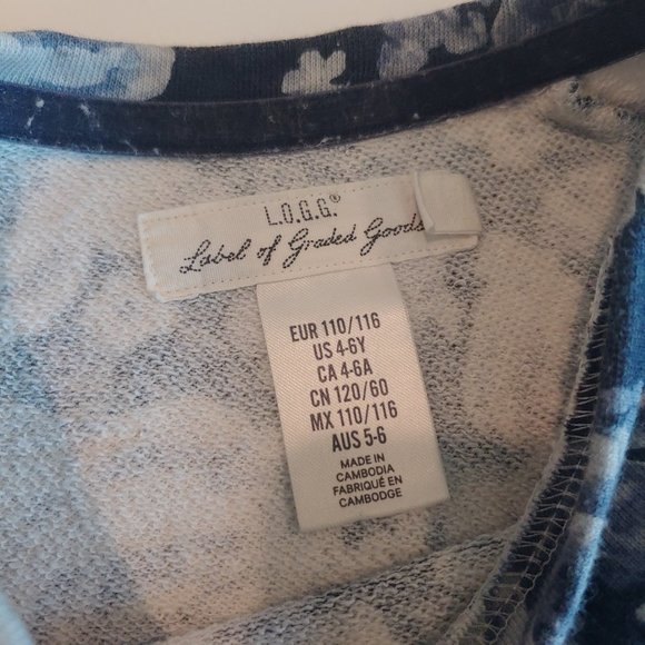 H & M |  Blue Floral French Terry Sweatshirt Dress | 4-6yr. | Pockets Casual - Picture 4 of 6